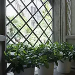 Maison Monte Giordano 3* Rom