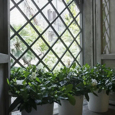 Maison Monte Giordano 3* Róma